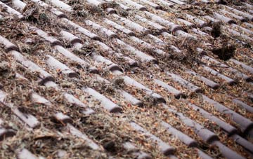 Coppull Moor roof cleaning companies